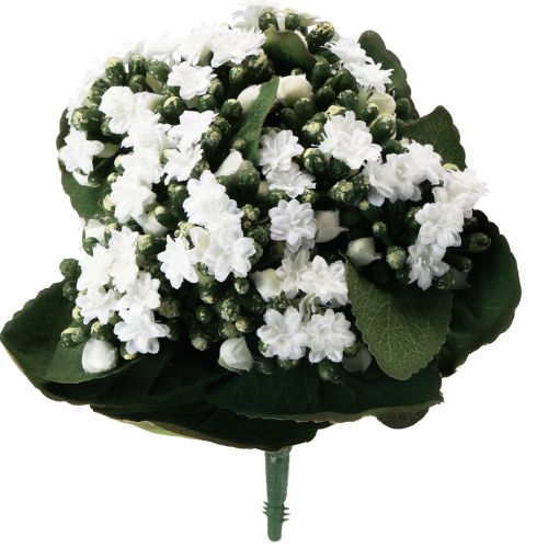 Product Artificial Kalanchoe Flaming Käthchen White 24cm