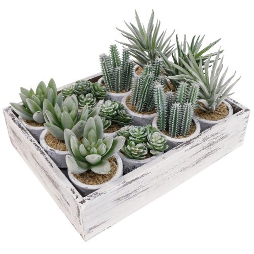 Product Artificial succulents in pot artificial plants green Ø4cm 12pcs