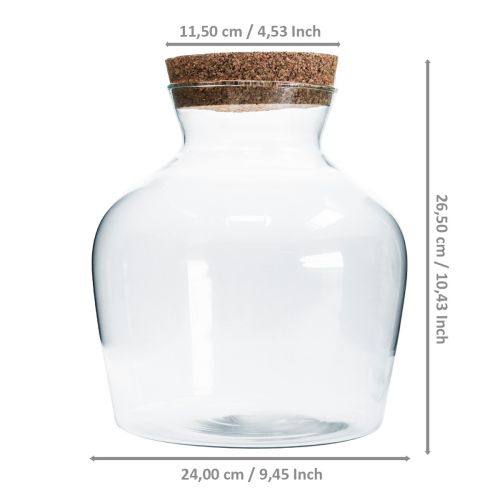 Floristik24 Decorative glass with cork Decorative vase with lid H25cm Ø24cm