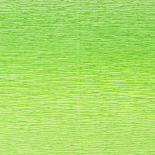 Product Florist crepe paper light green 50x250cm