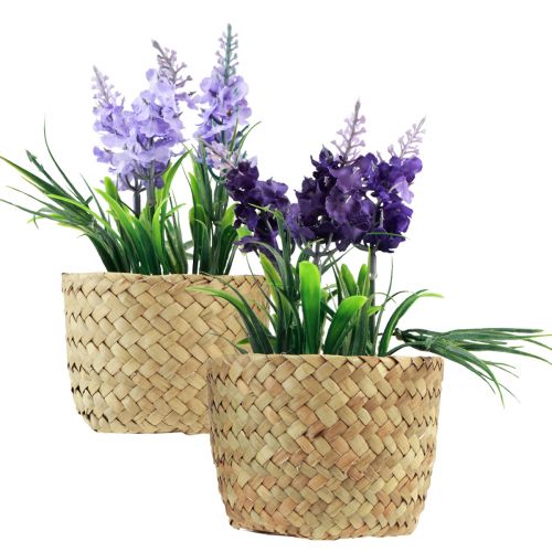 Product Artificial hyacinth in pot seagrass blue purple 16/17cm 2pcs