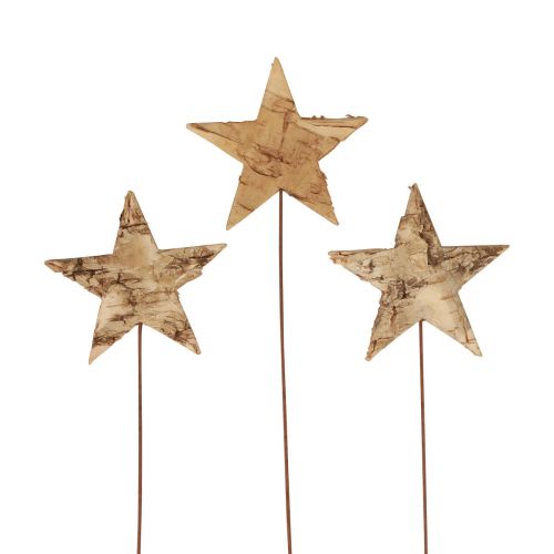 Floristik24 Decorative stars for sticking tree bark decoration stars Advent 22cm 24 pcs