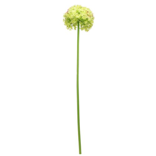 Product Allium green flower artificial ornamental onion Ø18cm 90cm