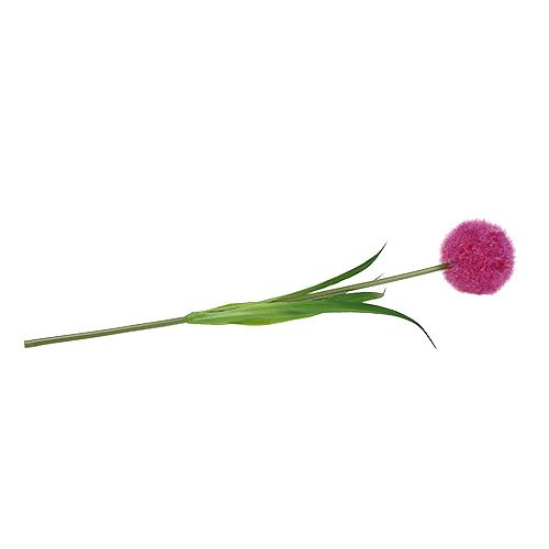 Floristik24 Allium 68cm pink-purple