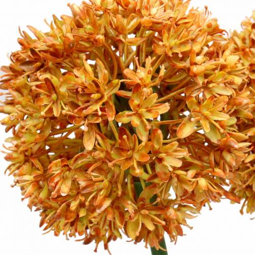 Floristik24 Ornamental onion Allium artificial orange 70cm 3pcs