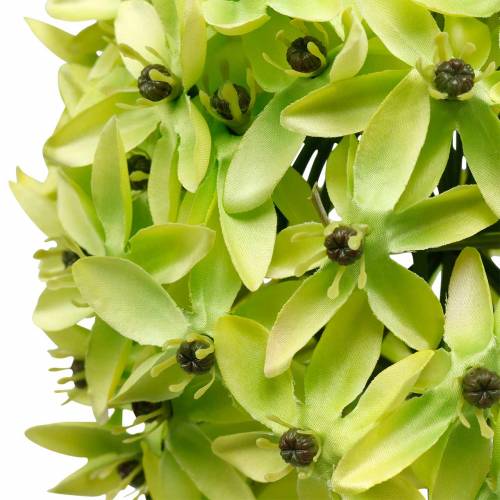 Product Ornamental onion Allium, silk flower, artificial ball leek green Ø20cm L72cm