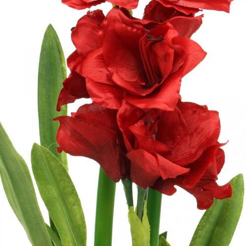 Floristik24 Artificial amaryllis red 3 silk flowers on moss balls H64cm
