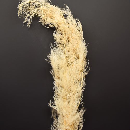 Product Asparagus dried grasses ornamental asparagus apricot 90cm 5 pcs