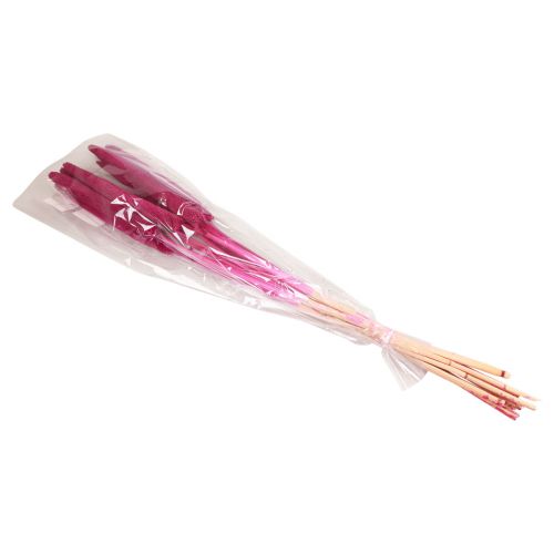 Product Pearl millet, reed babala, millet pink 70cm 10pcs