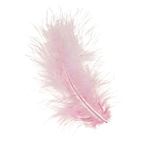 Craft Feathers Pink Bird Feathers Spring Easter 5–10cm 20g