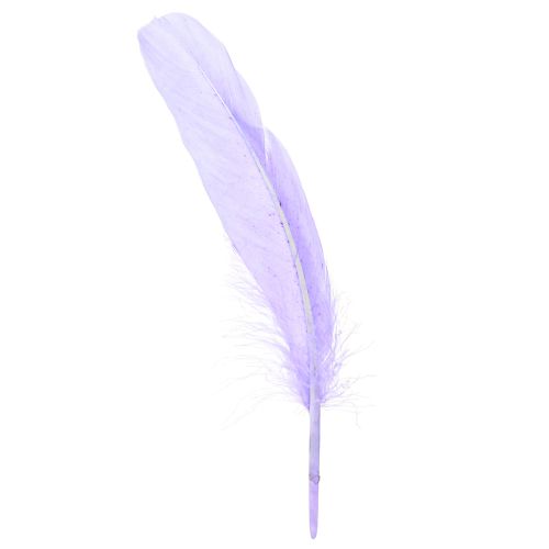 Craft Feathers in Purple Goose Feathers Dyed 20g x 2pcs