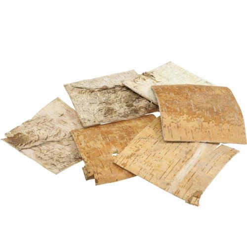 Floristik24 Tree bark decorative bark square birch bark natural 10×10cm 6 pcs