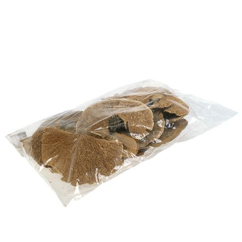Floristik24 Tree sponge nature 500g