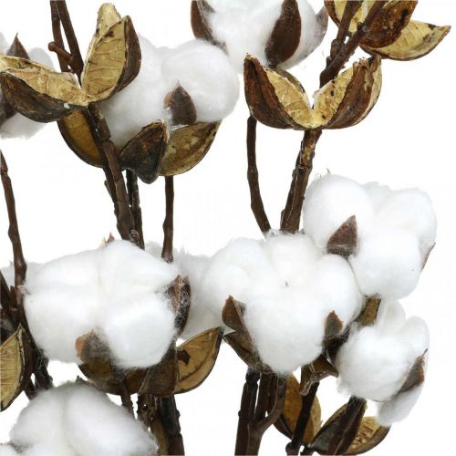 Product Cotton branch Artificial deco branch cotton 61cm 3pcs