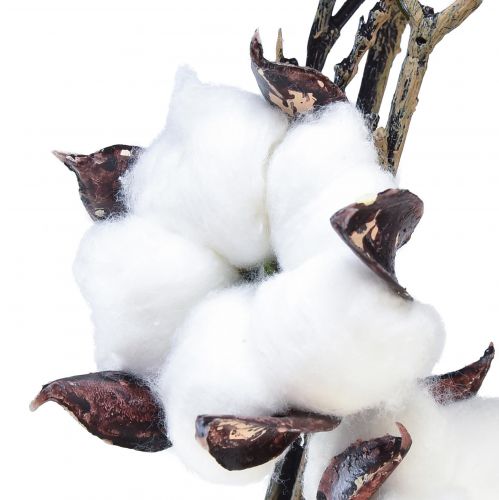 Product Cotton branch cotton flowers artificial brown white L95cm