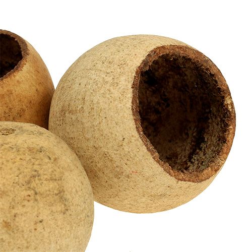 Product Bell Cup small natural 25 pcs