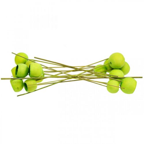 Product Bell Cup on a Stick Green Dried Exotics 15 Pcs