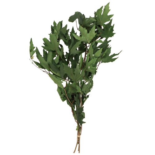 Sycamore branches leaves decoration maple leaves green 50-60cm 100g