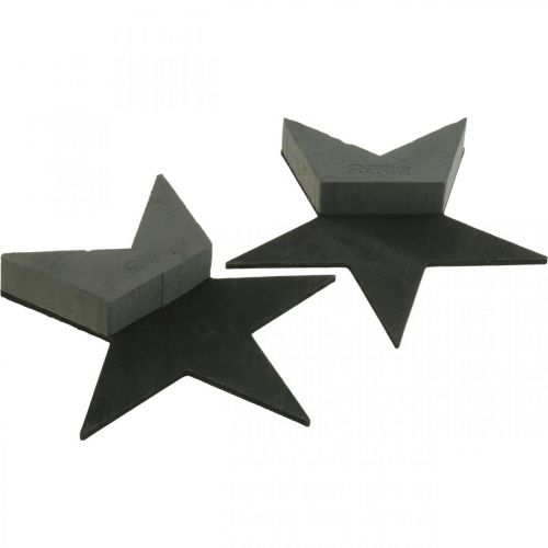 Product OASIS® Black Bioline® Floral Foam Star Black H30cm 2 pcs