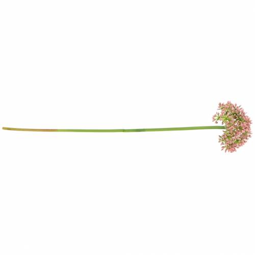 Product Allium artificial pink 55cm