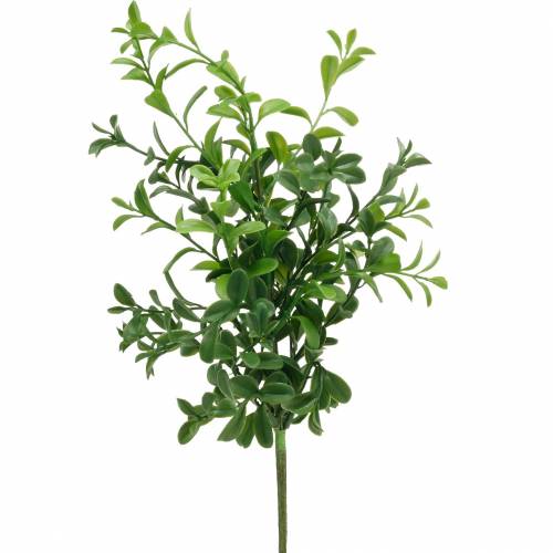 Product Boxwood branches boxwood on the pick artificial green plant 6 pieces