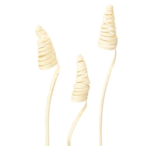 Product Cane Cone bleached 25 pcs