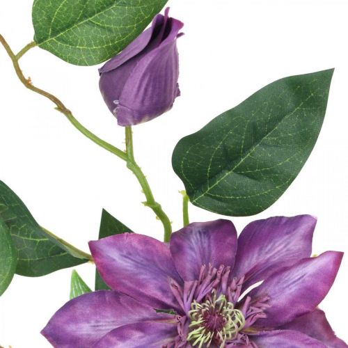 Floristik24 Artificial clematis, silk flower, decorative branch with clematis flowers violet L84cm
