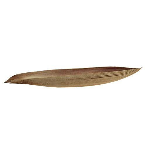Floristik24 Coconut bowl palm leaf 60-80cm nature