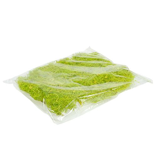 Floristik24 Curly moss light green 350g