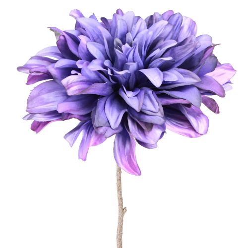 Floristik24 Dahlia Artificial with large flower in violet L58cm