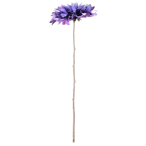 Product Dahlia Artificial with large flower in violet L58cm