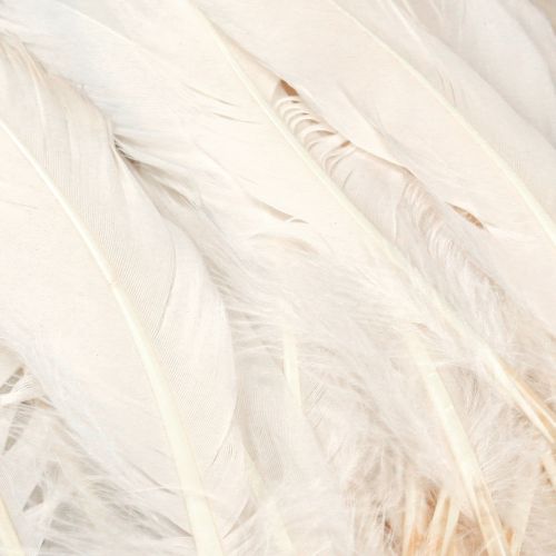 Product Decorative Feathers Real Bird Feathers Champagne 20g