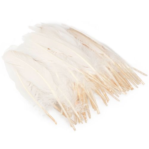 Product Decorative Feathers Real Bird Feathers Champagne 20g