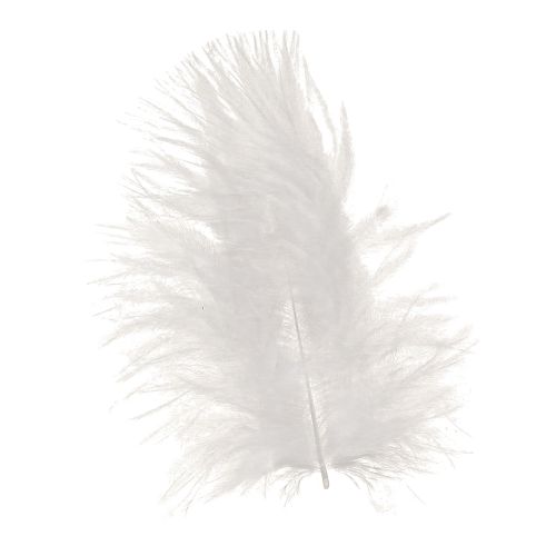 Decorative Feathers in White Craft Supplies Spring 5–10cm 20g