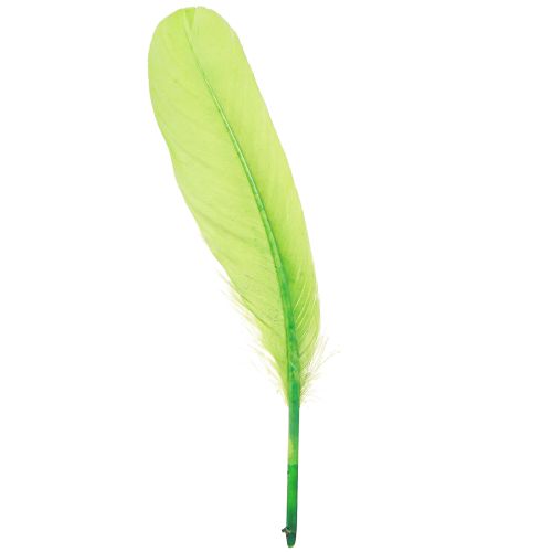 Decorative Feathers for Crafting Goose Feathers Light Green 20g x 2pcs