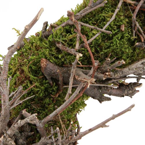 Product Decorative wreath moss wreath with bonsai branches natural Ø30cm