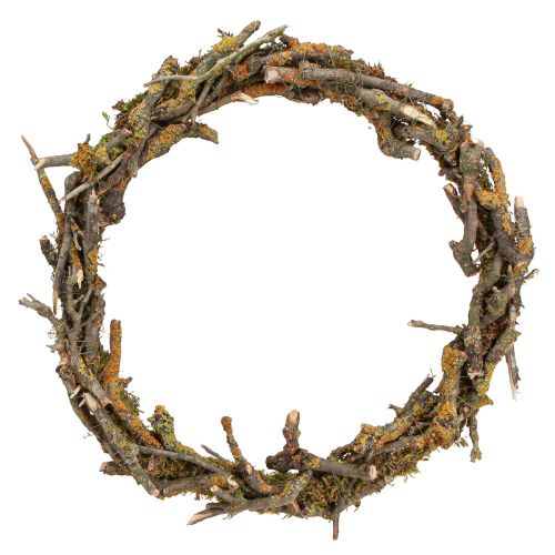 Floristik24 Decorative wreath branches with lichen and moss natural decoration Ø33cm