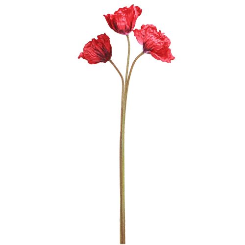 Floristik24 Deco Poppy Large Artificial Flowers Red Poppies 88cm 3 Pcs