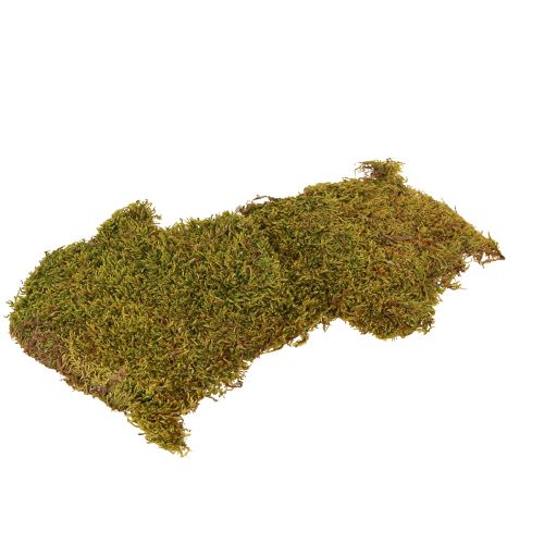 Product Decorative Moss for Crafting Light Green Natural Moss Preserved 150g