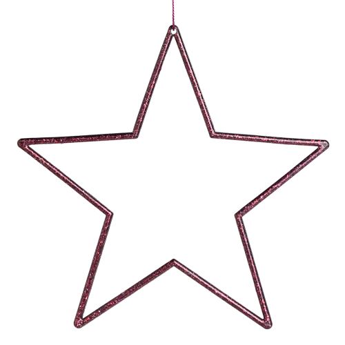 Decoration Star Berry Christmas decoration for hanging Ø18cm 8 pcs