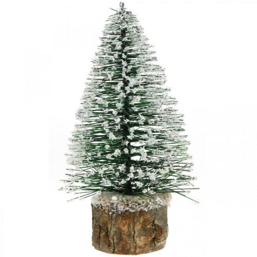 Floristik24 Christmas decoration, decorative Christmas tree, mini fir green snow-covered H15cm Ø9.5cm 6 pcs