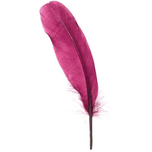 Decorative feathers burgundy goose feathers craft supplies 20g x 2pcs