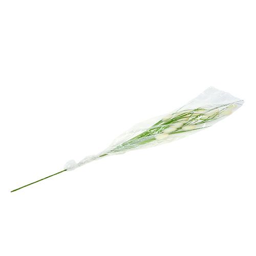 Floristik24 Decorative grass green L85cm