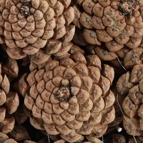 Product Decorative bowl pine cones in natural brown Ø35cm H15cm