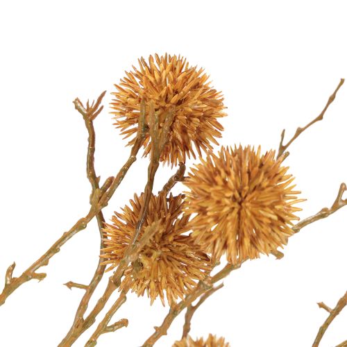 Product Decorative branch of sweetgum tree, tree fruits, decorative ochre brown, 48cm