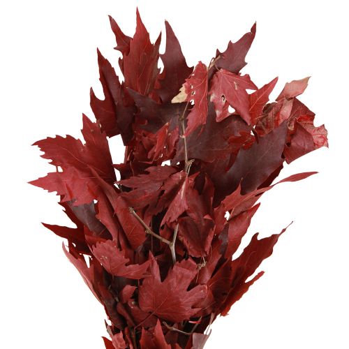 Decorative branches maple leaves decorative maple leaves red 50-60cm 100g