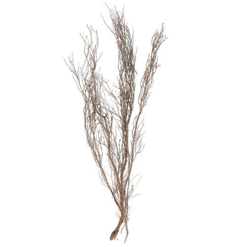 Decorative branches natural decorative thyme branches dried 500g