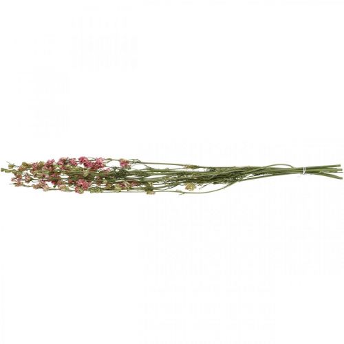 Product Dried flower delphinium, Delphinium pink, dry floristry L64cm 25g