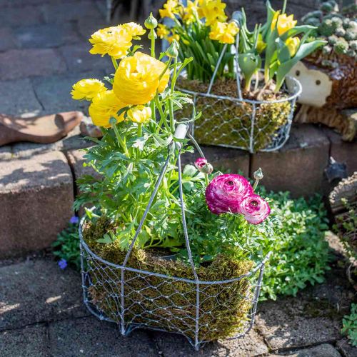 Product Wire basket with handle, baskets nostalgic, metal basket shabby chic, antique look silver, white L35/30/25cm H46.5/35/25cm set of 3