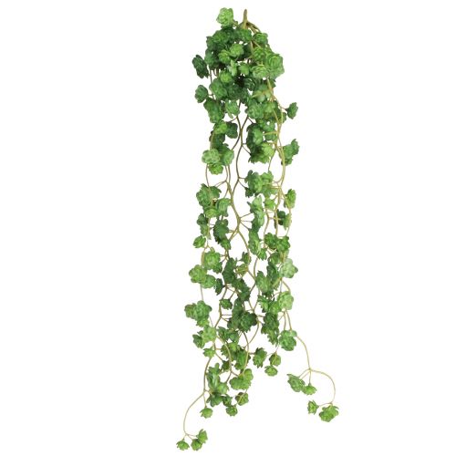 Floristik24 Echeveria Artificial Hanging Plants in Green W12cm L50cm